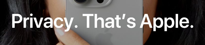 Apple privacy page headline screenshot